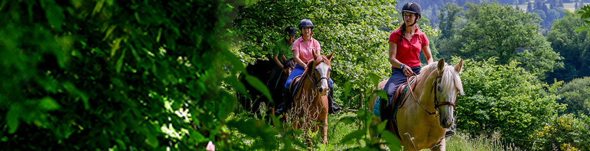 Comité Départemental de Tourisme Equestre Sarthe